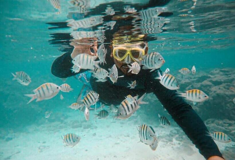 Chalé Palhano Beach