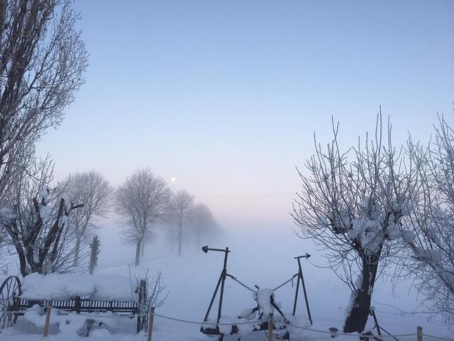 호텔 Agriturismo Il Capitolo