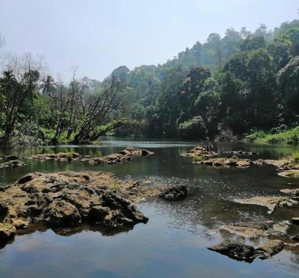 ホテル Aidens Abode