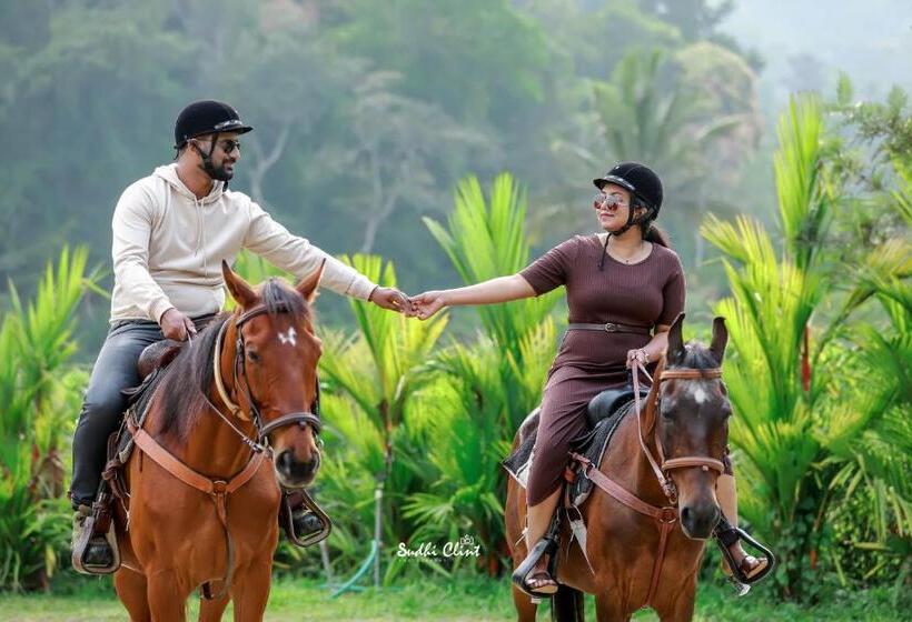 ホテル Barsati Ranches