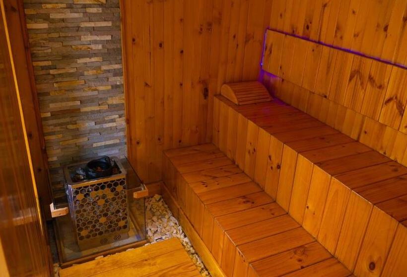 酒店 Coconuco Beach Palomino