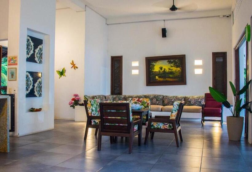 酒店 Coconuco Beach Palomino