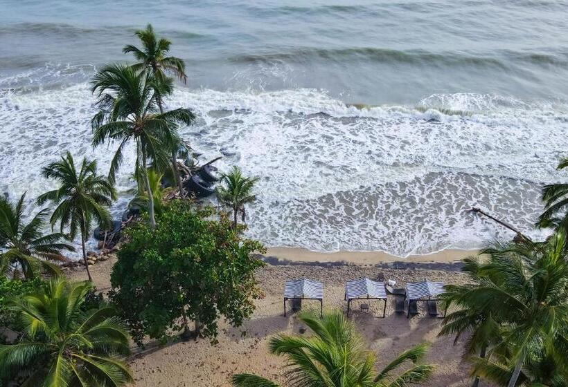 酒店 Coconuco Beach Palomino