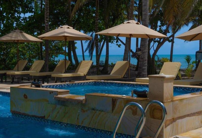 酒店 Coconuco Beach Palomino