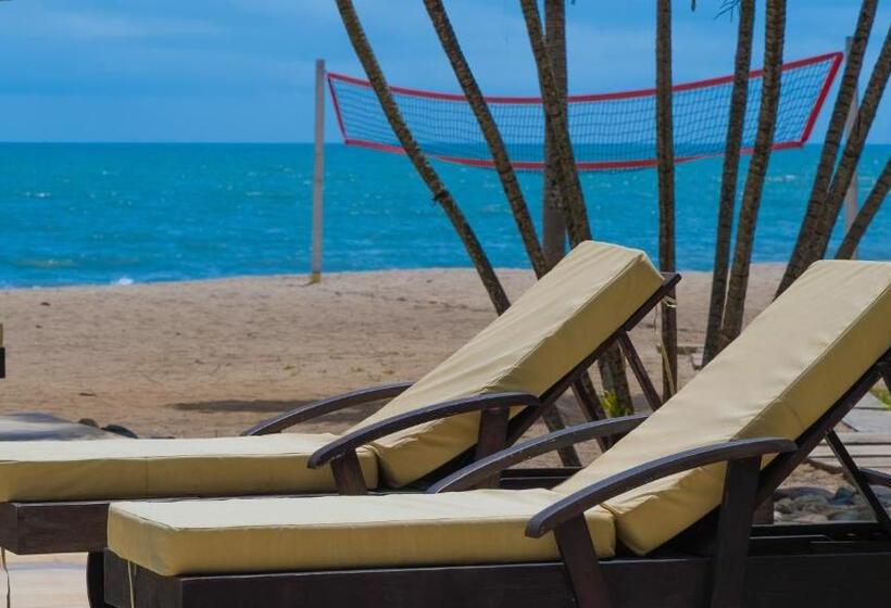 酒店 Coconuco Beach Palomino