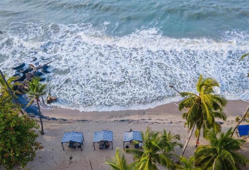 酒店 Coconuco Beach Palomino