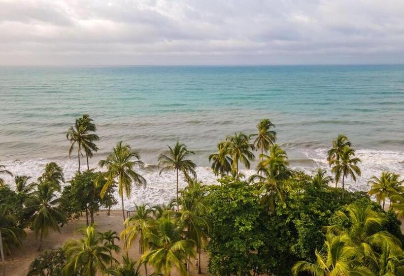 酒店 Coconuco Beach Palomino