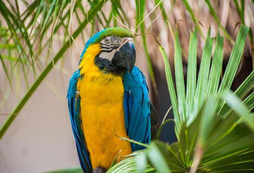 酒店 Coconuco Beach Palomino