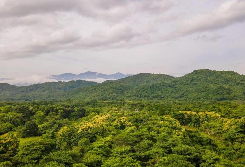 酒店 Coconuco Beach Palomino