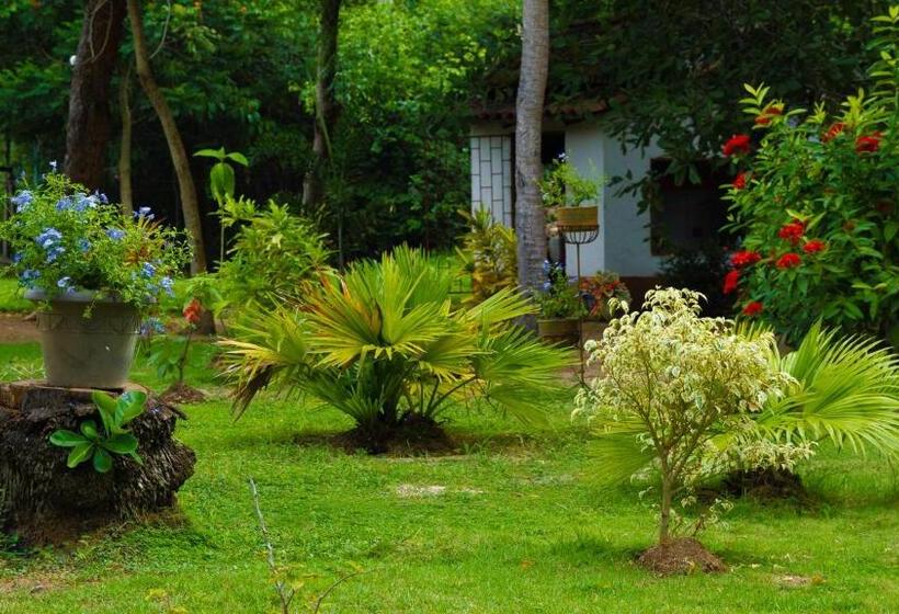 酒店 Coconuco Beach Palomino