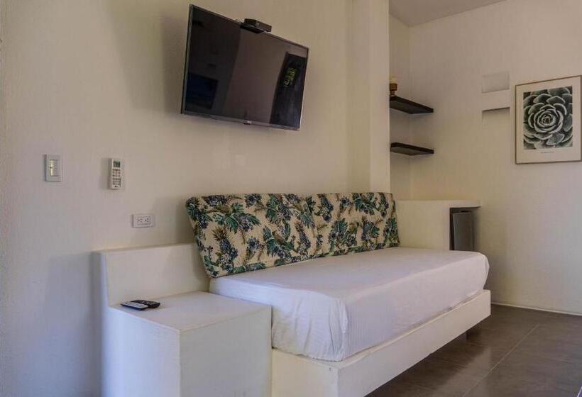 酒店 Coconuco Beach Palomino