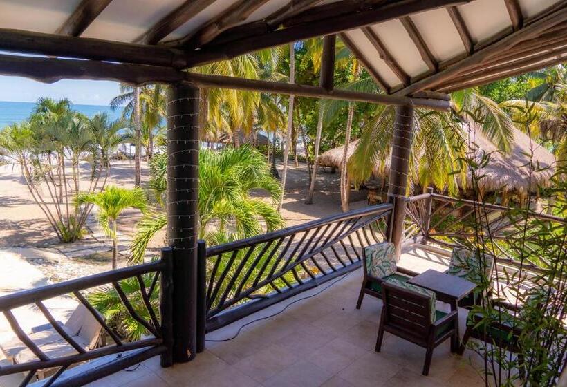 酒店 Coconuco Beach Palomino