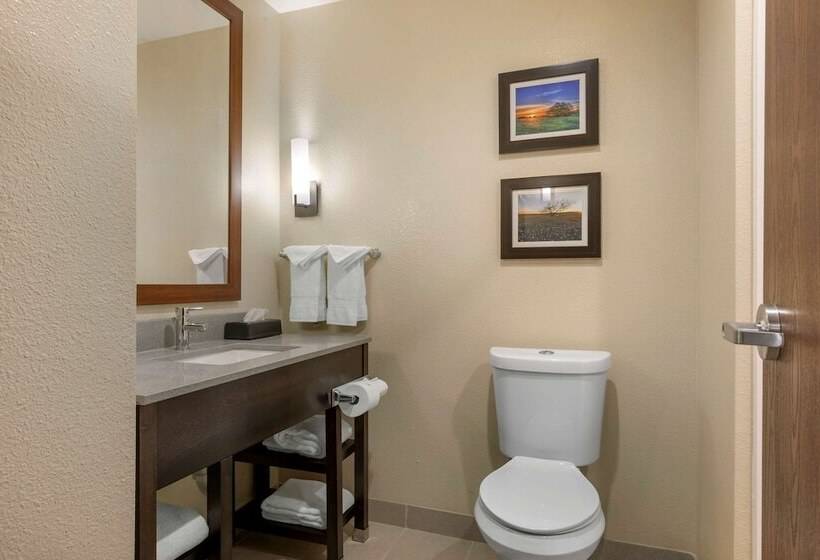 호텔 Comfort Inn & Suites Euless Dfw West