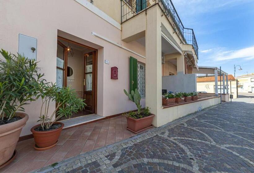 فنادق الكبسولة Domus De Carrera