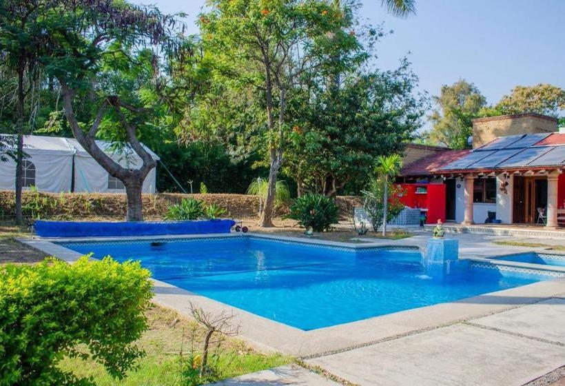 酒店 El Camino De Maia