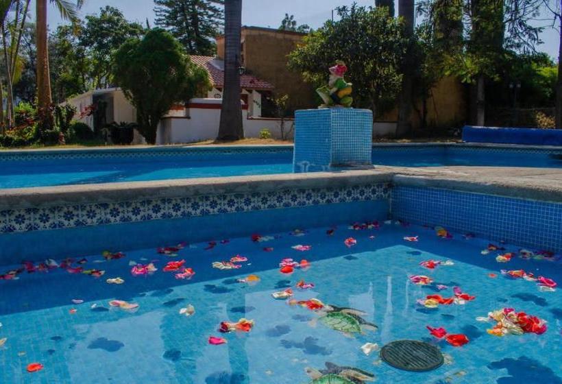 酒店 El Camino De Maia