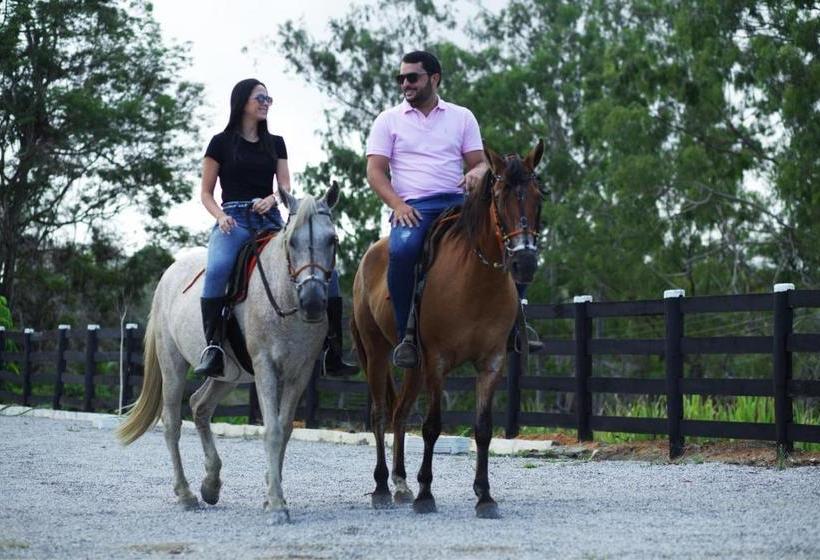 Отель Fazenda Três Tesouros