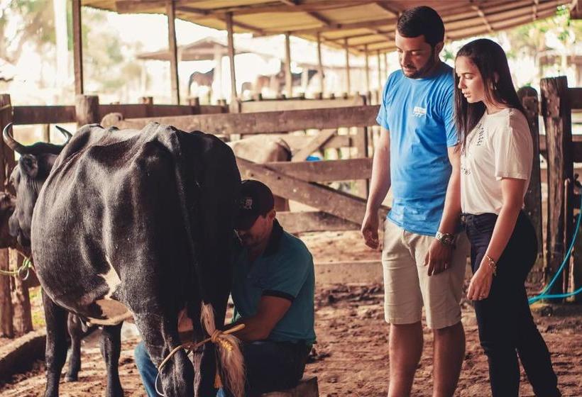 Отель Fazenda Três Tesouros