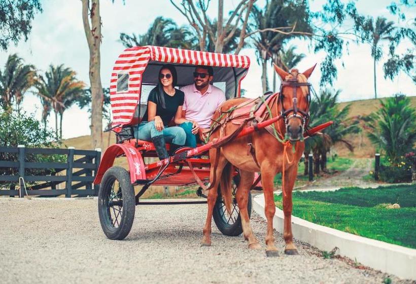 Отель Fazenda Três Tesouros