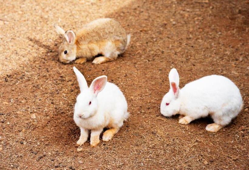 Отель Recanto Julubi Atibaia