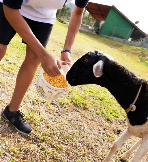 Отель Recanto Julubi Atibaia