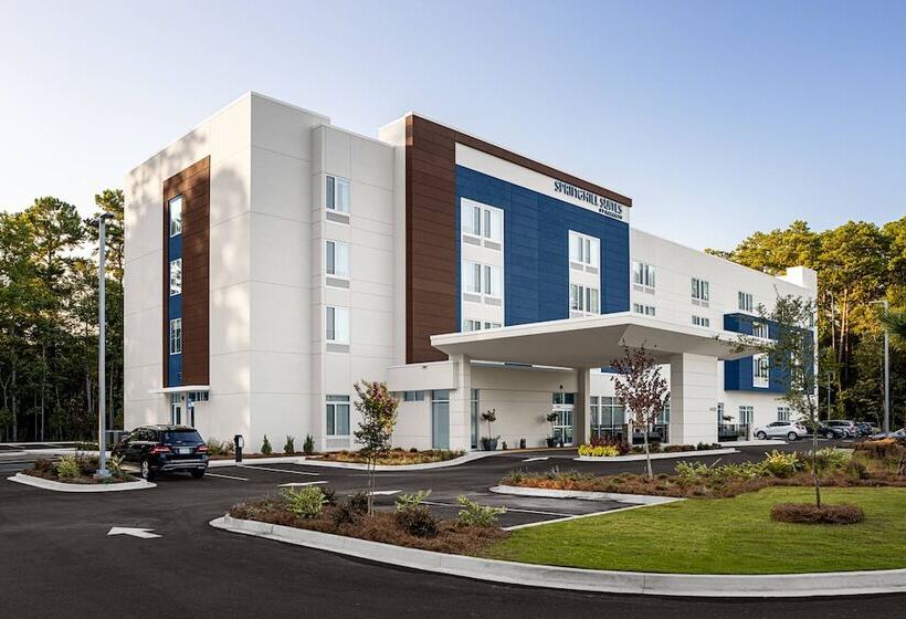 فندق Springhill Suites By Marriott Savannah Richmond Hill