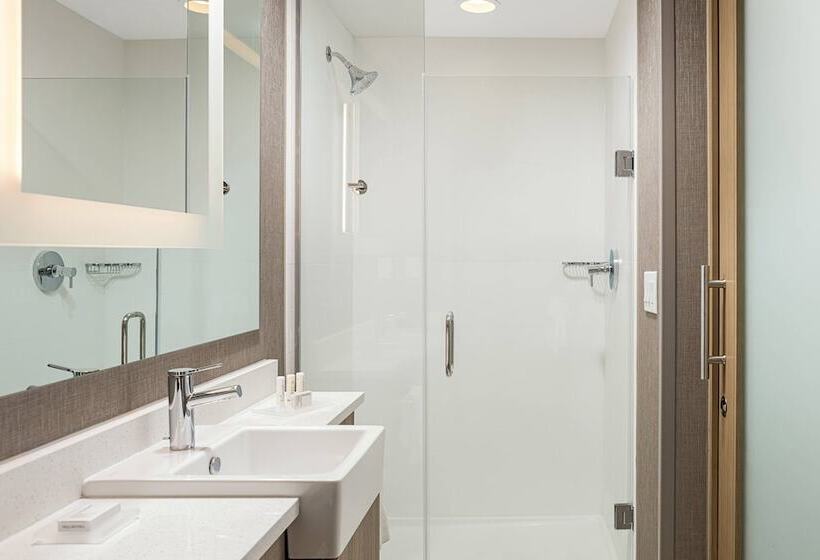 فندق Springhill Suites By Marriott Savannah Richmond Hill