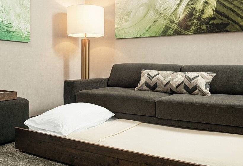 فندق Springhill Suites By Marriott Savannah Richmond Hill