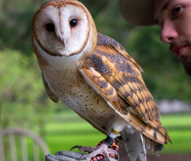 Laurel River Club Bed & Breakfast Or Lrcbnb