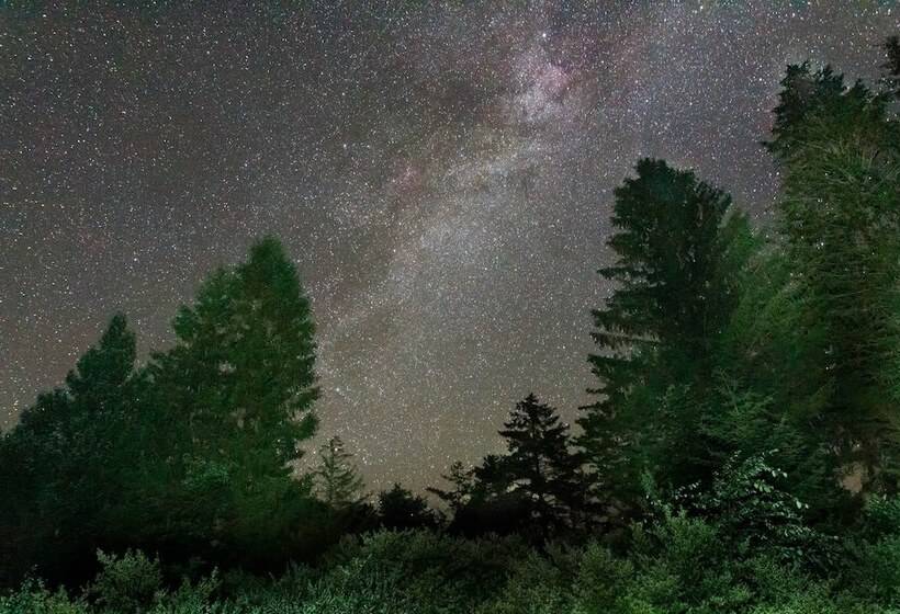 Laurel River Club Bed & Breakfast Or Lrcbnb