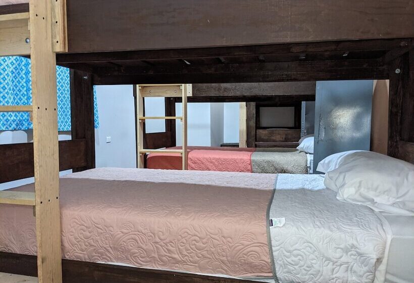 My Family In Monterrey Hostel