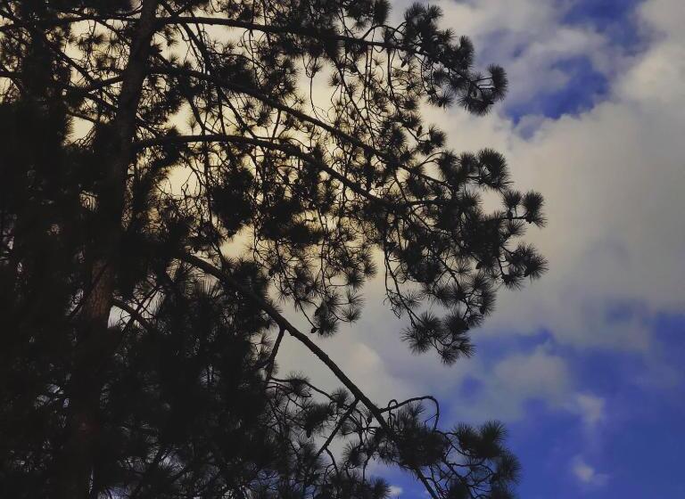 پانسیون Breathe Inn