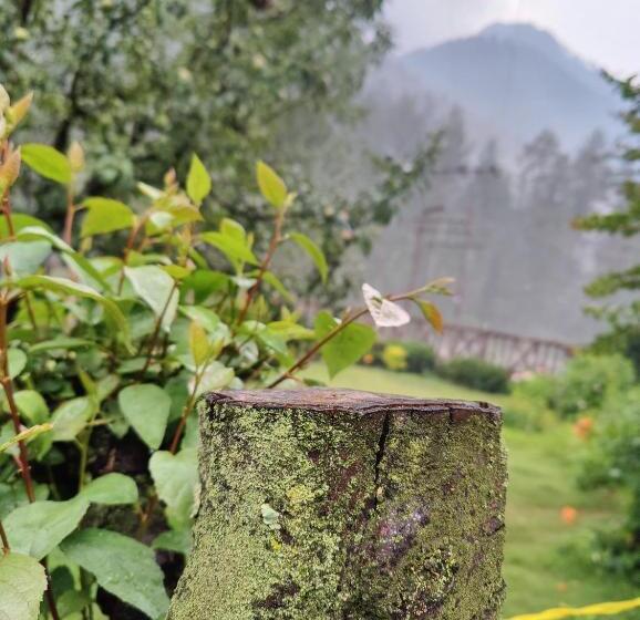 پانسیون Breathe Inn