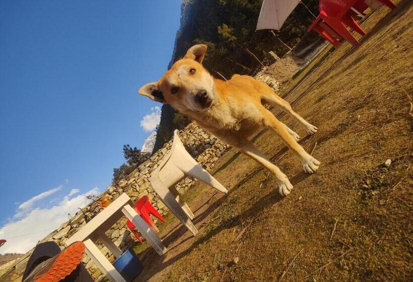 پانسیون Breathe Inn