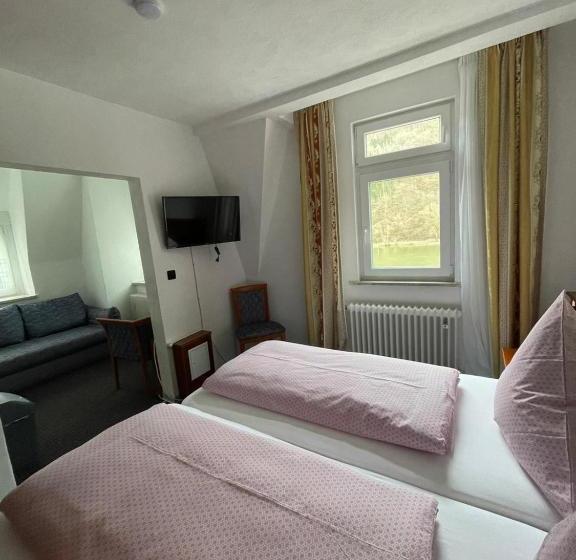 ペンション Cafe Moselterrasse