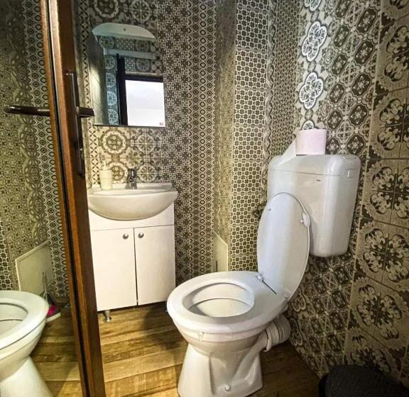 Пансион Casa Ryana Sinaia