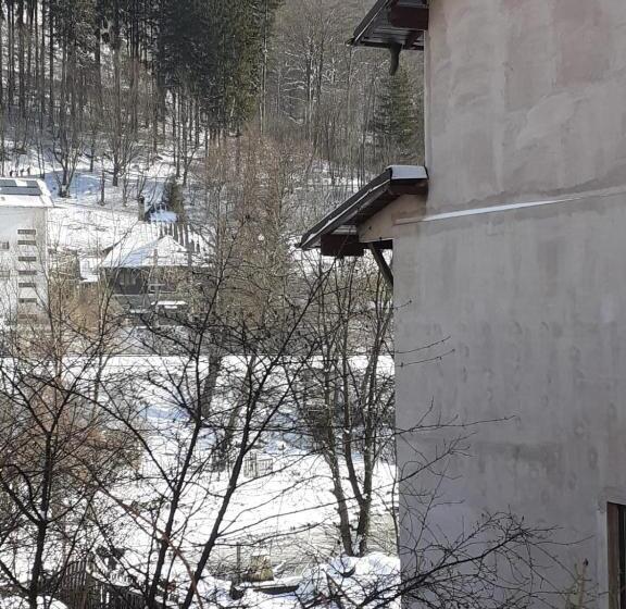 ペンション Casa Ryana Sinaia