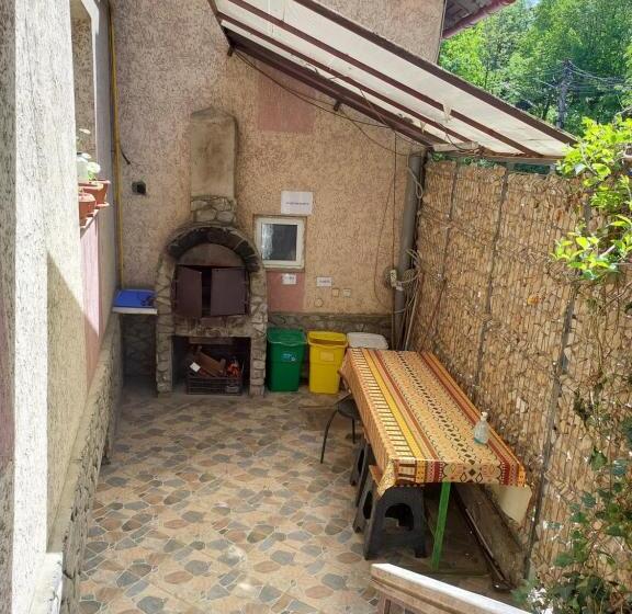 Пансион Casa Ryana Sinaia