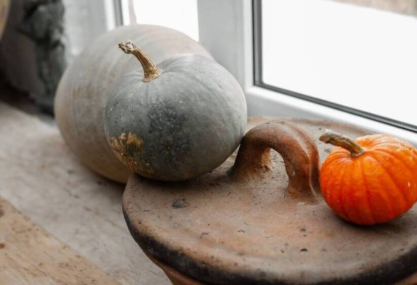 بنسيون Etiuni The Forgotten Kingdom