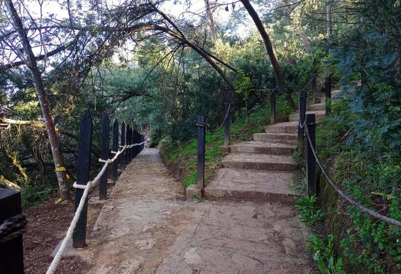 بنسيون Hospedaje Rodal