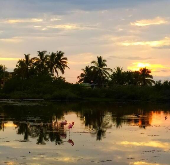 پانسیون Hostal Los Flamencos