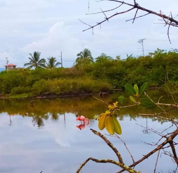 פנסיון Hostal Los Flamencos