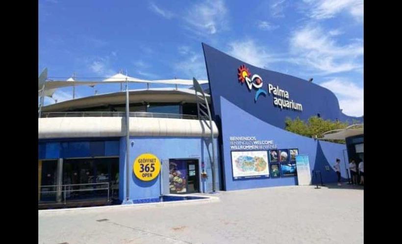 פנסיון Room In Guest Room  Private Individual Room With Exit Terrace And Shared Bathroom