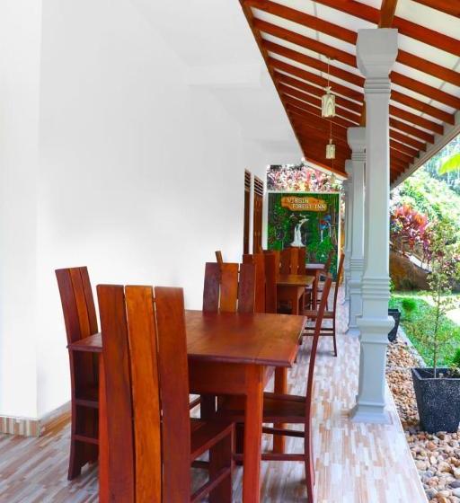 بنسيون Virgin Forest Inn