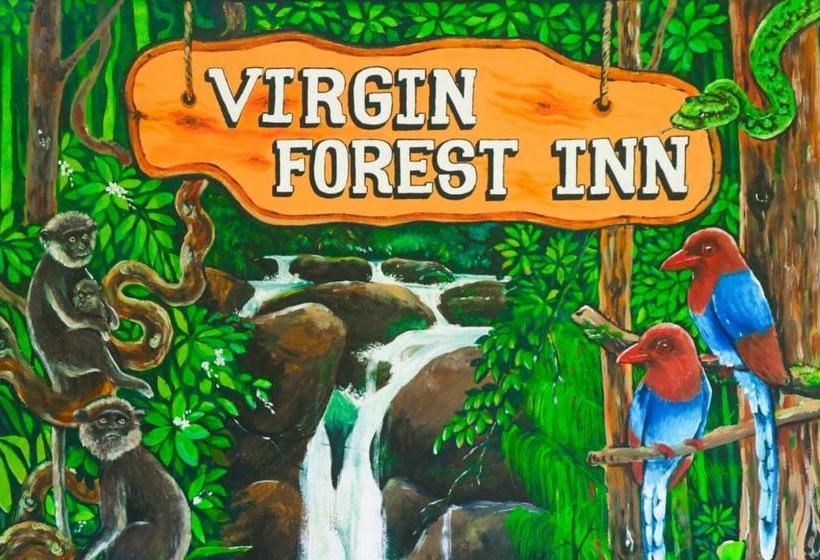 ペンション Virgin Forest Inn