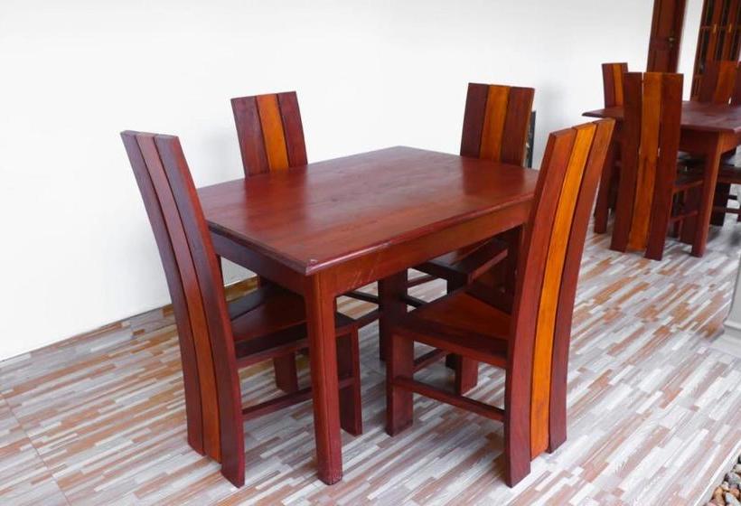 بنسيون Virgin Forest Inn