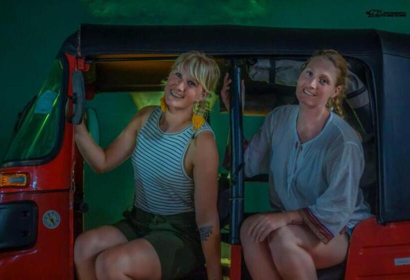 ペンション Virgin Forest Inn