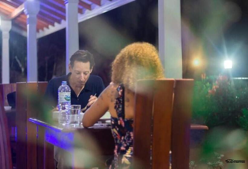 بنسيون Virgin Forest Inn