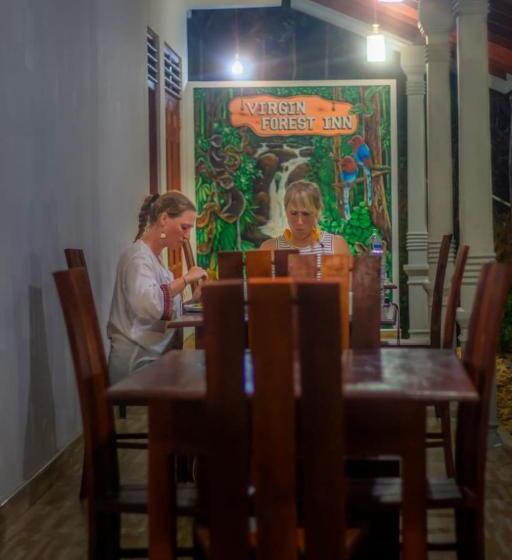 بنسيون Virgin Forest Inn