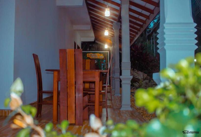 بنسيون Virgin Forest Inn